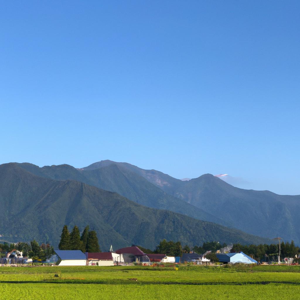 新潟での充実した生活
